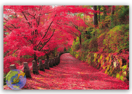 吉野山紅葉(奈良）