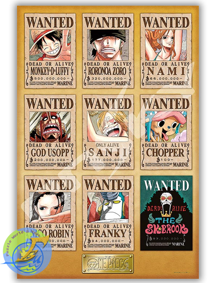 One piece 海賊王